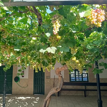 Casa Rural La Del Alba Seria Argamasilla de Alba Buitenkant foto