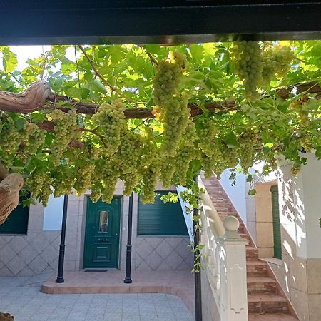 Casa Rural La Del Alba Seria Argamasilla de Alba Buitenkant foto