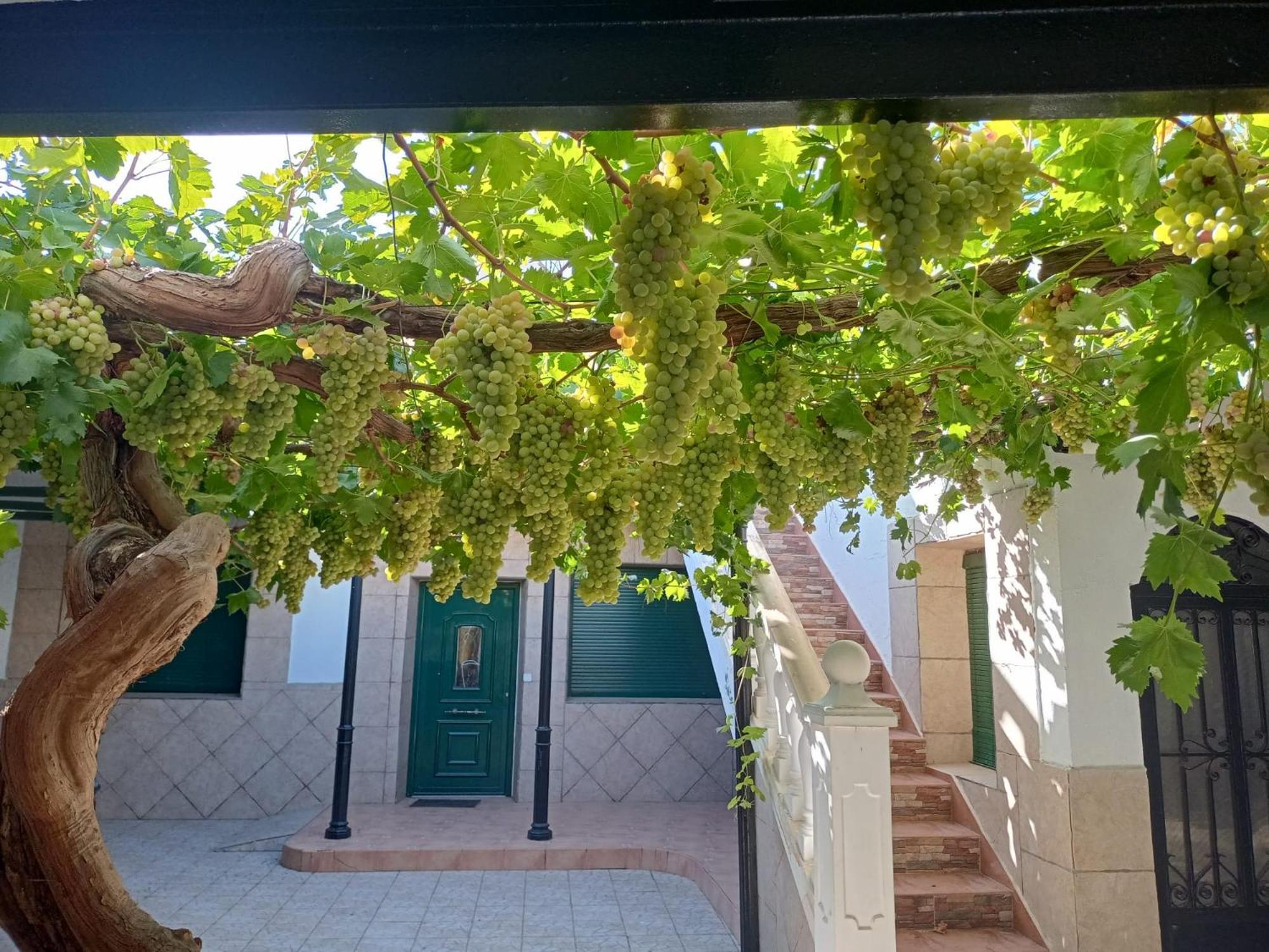 Casa Rural La Del Alba Seria Argamasilla de Alba Buitenkant foto